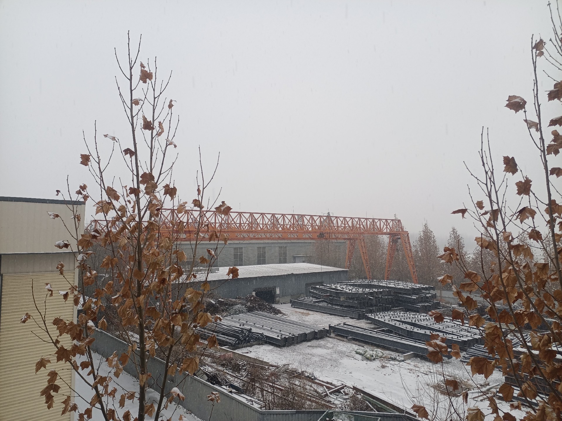 衡水鋼結構,衡水鋼結構廠,衡水鋼結構廠房,衡水鋼結構廠家，衡水廠房車間加工，衡水鋼結構--金鼎鋼構廠雪景貨場